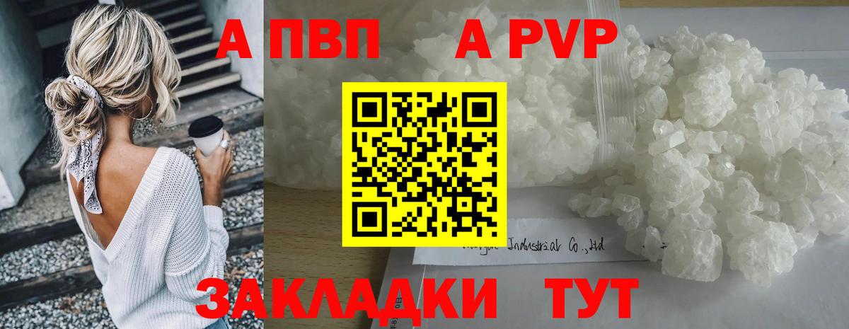 A-PVP СК Урус-Мартан