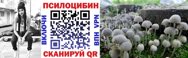 как найти закладки Урус-Мартан Псилоцибиновые грибы Psilocybe