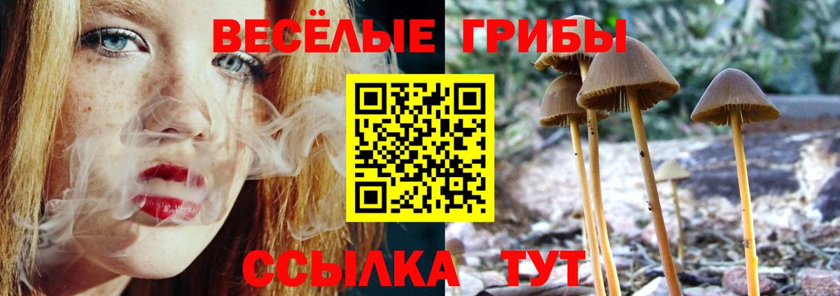 Псилоцибиновые грибы MAGIC MUSHROOMS Урус-Мартан